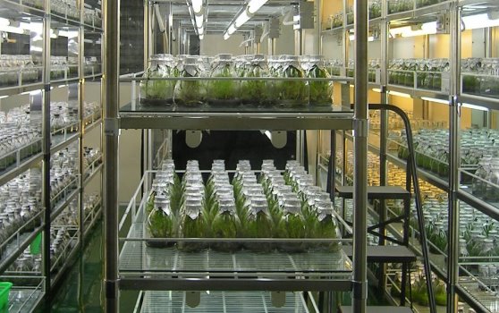Biotechnologie, application à l'air humide